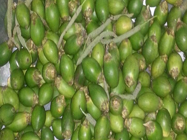Betelnut2
