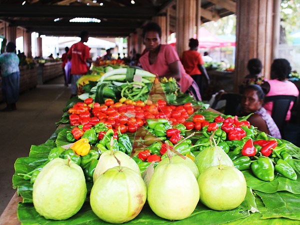 Daily fruits and vegatables sold at the Gizo market by the Market vendors