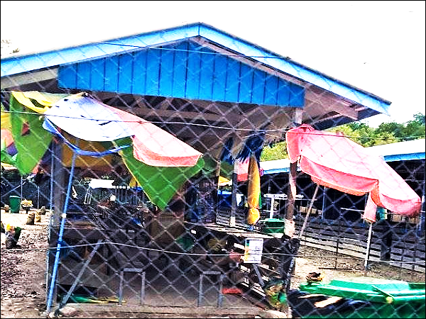 Auki Betel Nut and Clothing Market close as of Tuesday this week (1)