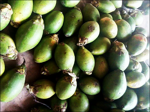 betelnut