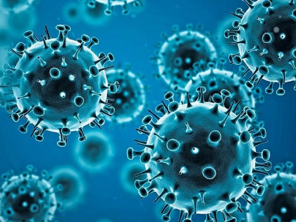 Coronavirus. Photo, WHO.