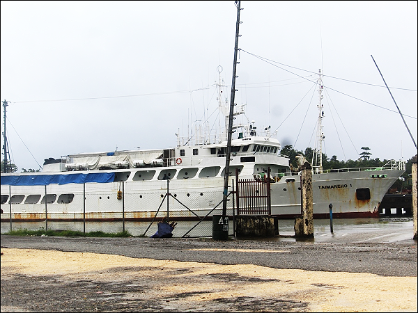 MV Taimareho docking at the Auki wharf. (Photo: Wilson Saeni)