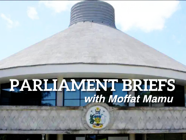 Parliament briefs