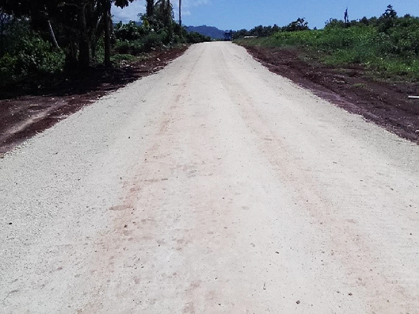 A stretch of road that leads up to Ata’a head road. Photo supplied.