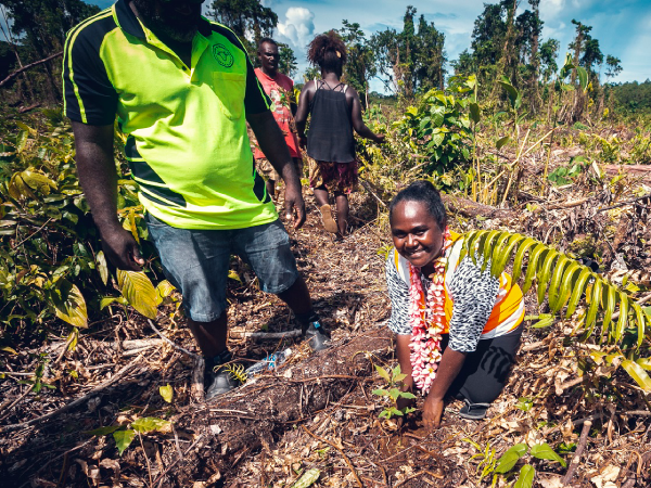‘Reinvestment in reforestation way forward’