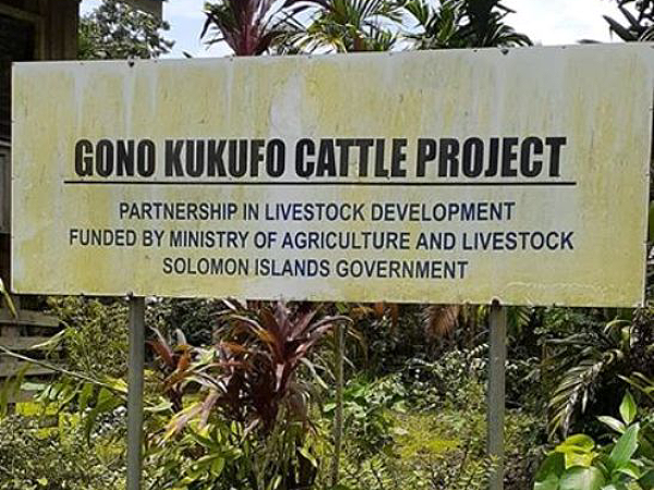 Gono kukufo Cattle project
