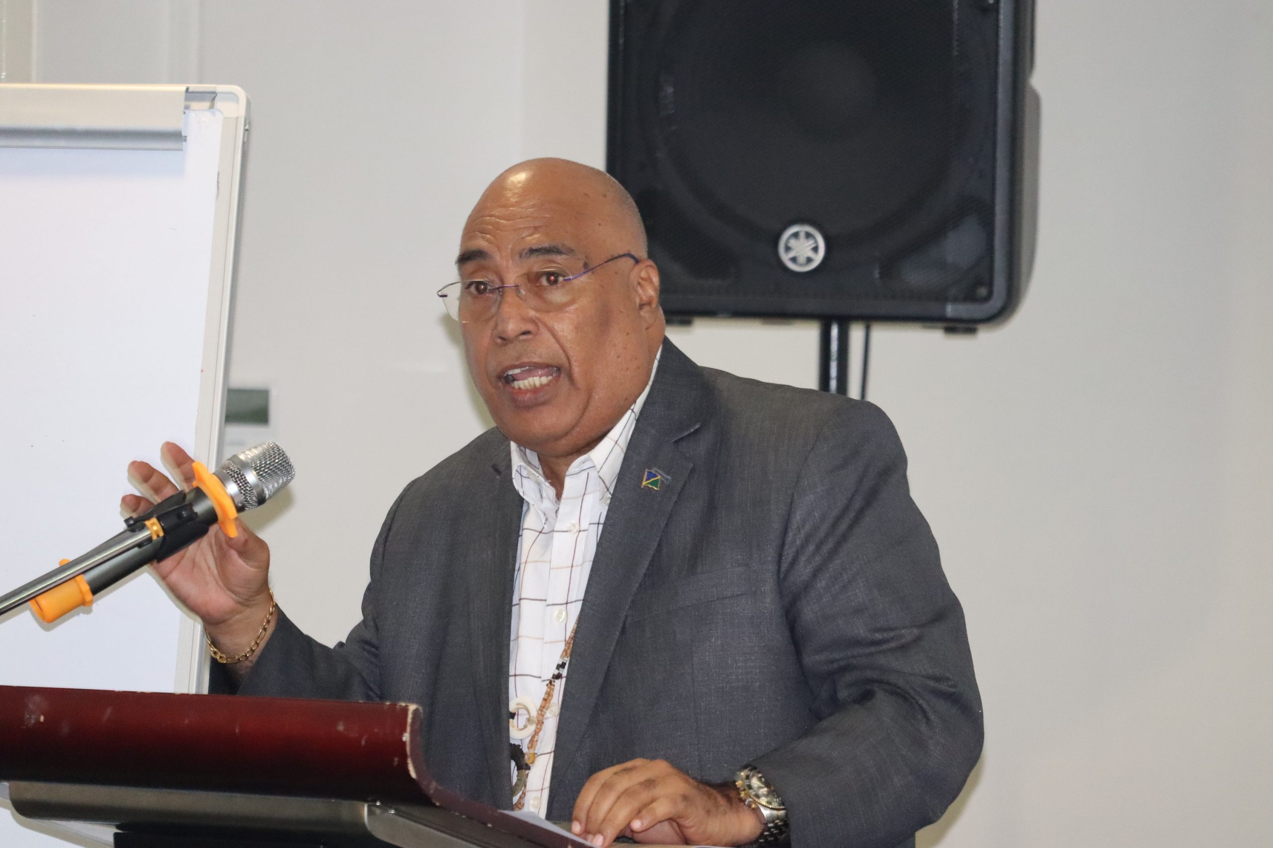 SI pushes regional approach on key issues at FFMM