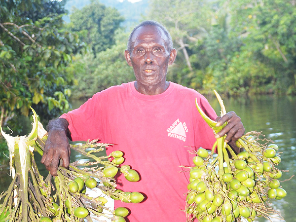 Sustaining livelihood through betel nut sales