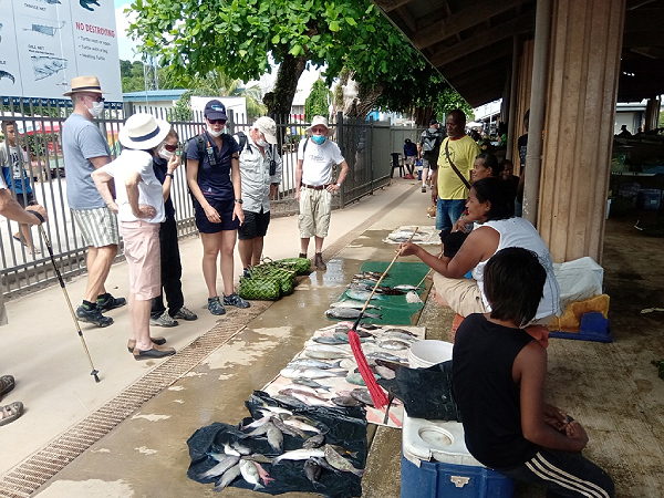 Fish sold at the Gizo market, some of which are undersized.