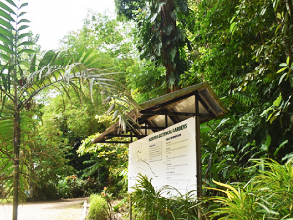 Honiara Botanical Gardens