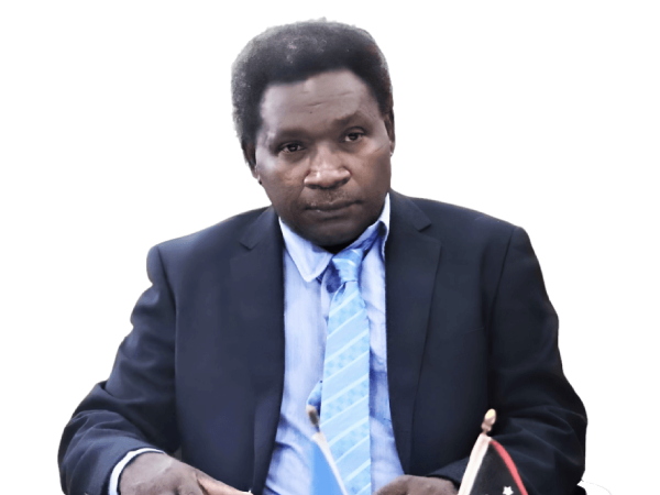 Vice President and Minister for Commerce, Trade, Industry and Economic Development Patrick Nisira.