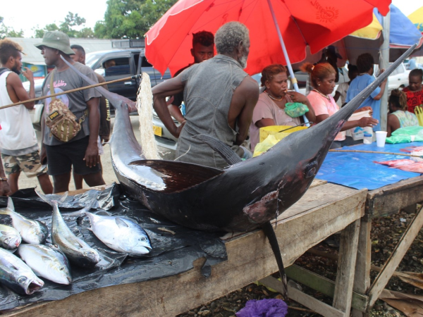 Auki Fish Market. Picture by Wilson Saeni.