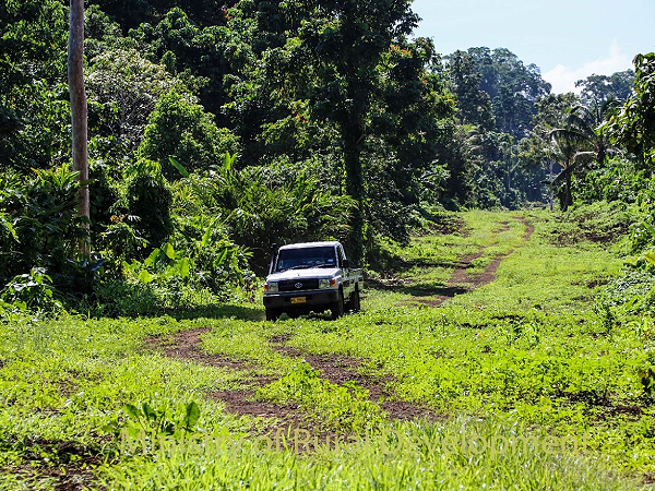 Part of the 21km road cleared for NWC road project fully funded under CDF program, awaiting proper contractor from MID. Photo, MRD.