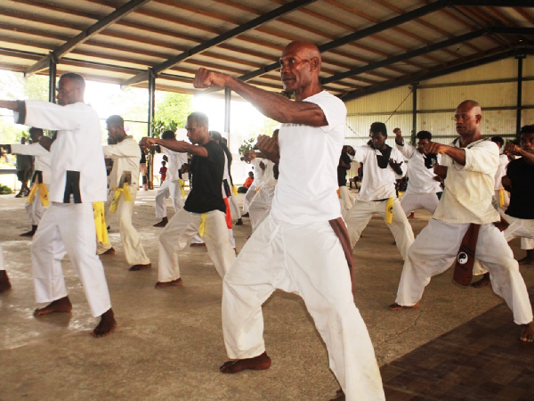 Noro Kung Fu students displaying their skills.