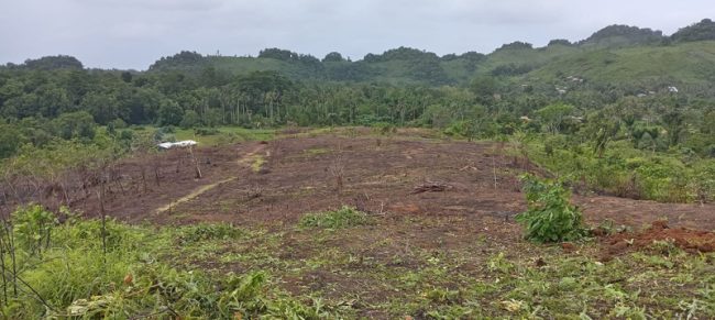 Atoifi Heights Campsite. Photo by Harry Samuel