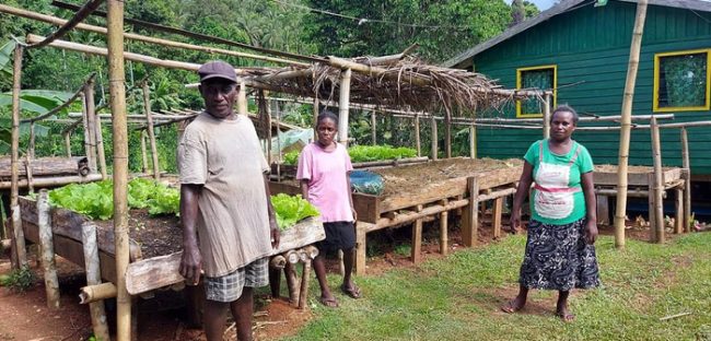 Gizo Women in Business activities also focuses on organic farming