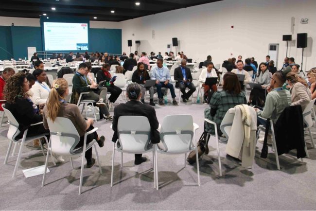 Delegations from the Pacific at COP 29