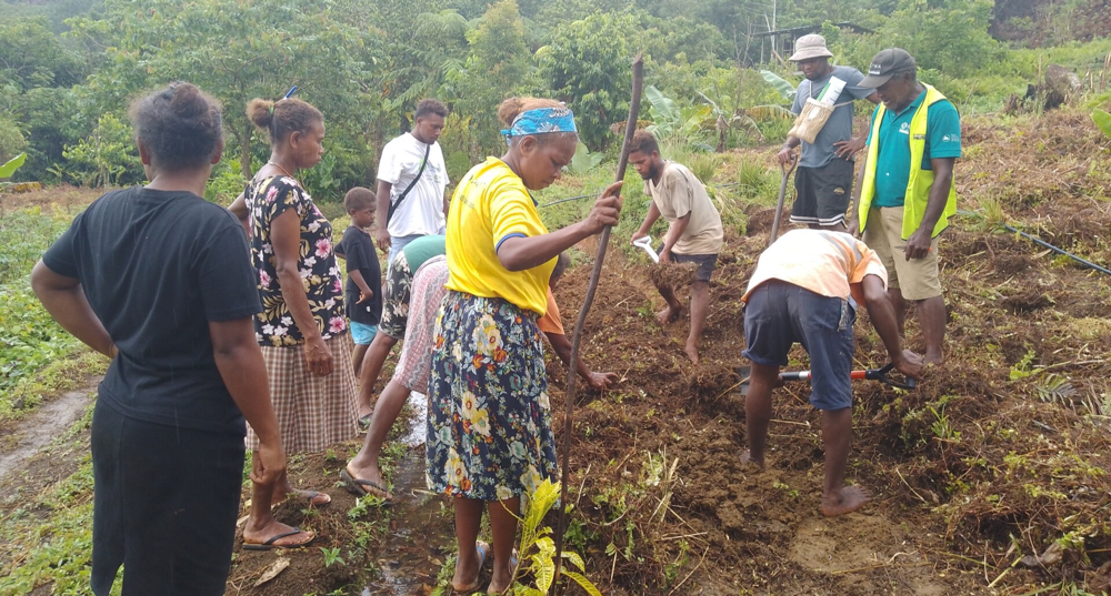 Climate-resilient farming training in Central Kwara’ae Climate-resilient farming training in Central Kwara’ae