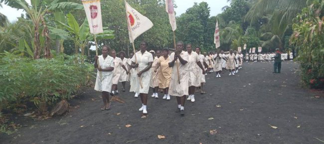 Some Dorcas carrying the Dorcas flags during the march past
