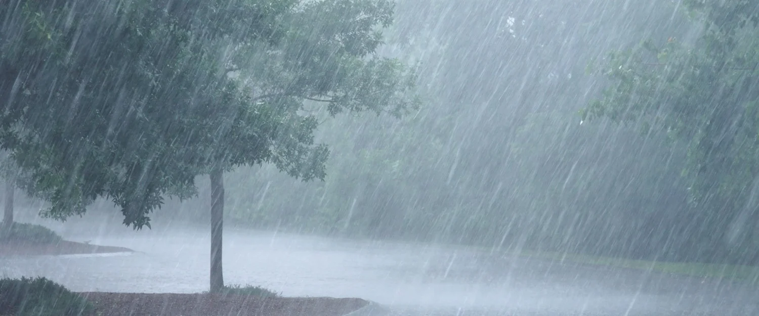 Heavy rain warning issued Heavy rain warning issued