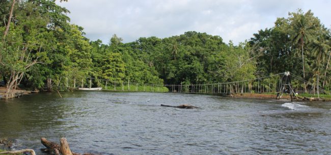 The suspension bridge weeks before its demolition. Photo Moffat MamuJPG