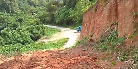 A garden owned by Titiana settlers