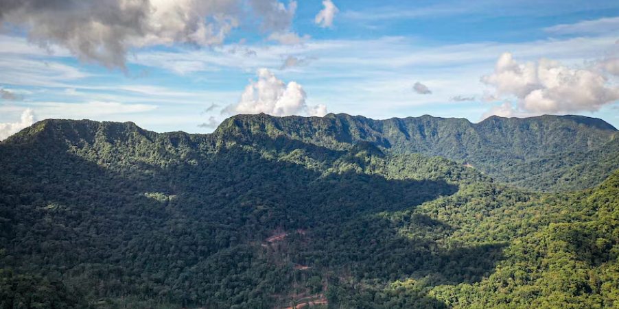 Locals are adamant there will be no logging in forests around Zaira in Western Province. (Supplied- Zaira community)