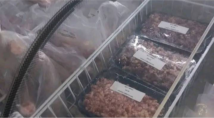 Local meat processing business thrives in Malu’u Local meat processing business thrives in Malu’u