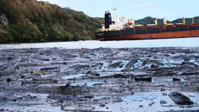 More than 300 tonnes of heavy fuel oil leaked into the waters of Kangava Bay.