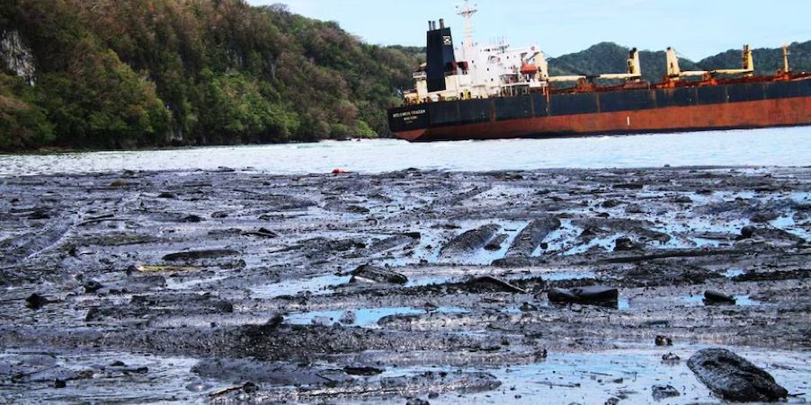 More than 300 tonnes of heavy fuel oil leaked into the waters of Kangava Bay.