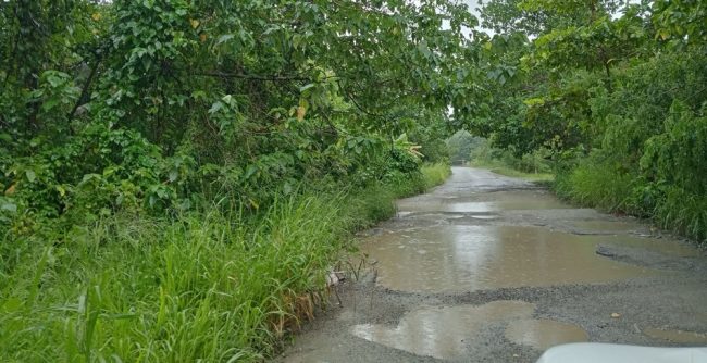 Poor roads in Northwest Guadalcanal. Photo Desmond Sese
