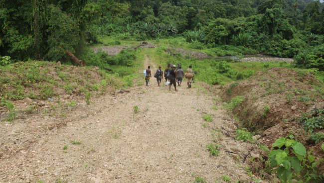 A logging road in Small Malaita