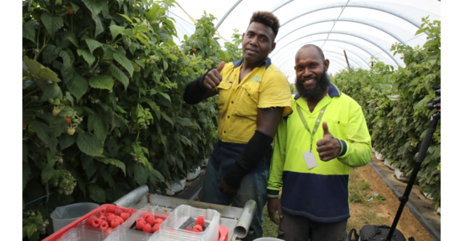 Seasonal workers