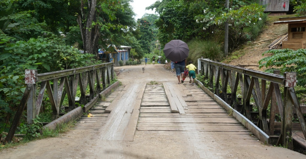 Bridges, drains to undergo rehabilitation 