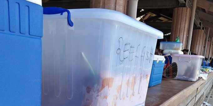 Fish and Chips sold at the Gizo market