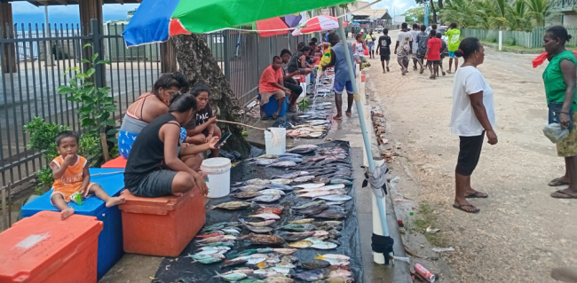 Gizo fresh fish on display at the market’s footpath