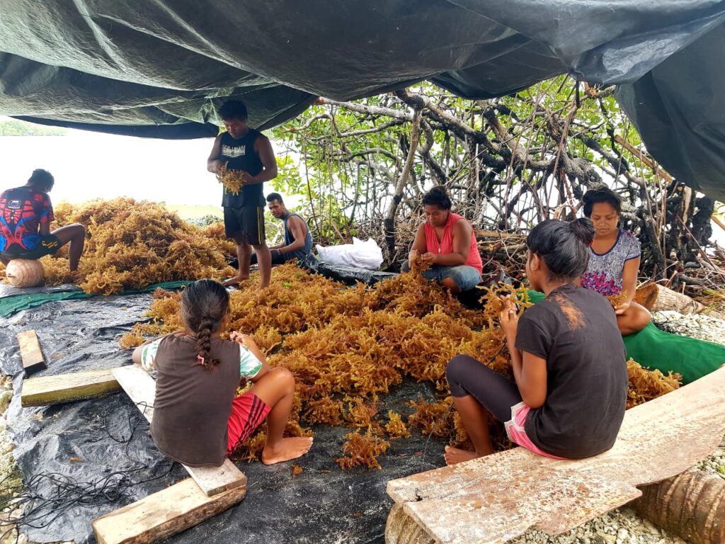 Government committed to transform fisheries into powerful engine of growth