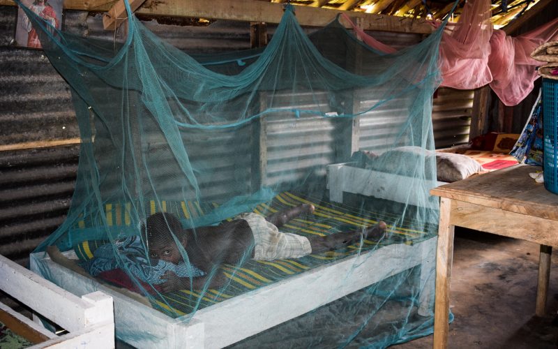Malaria rates high in Malaita, bed nets distributed to communities