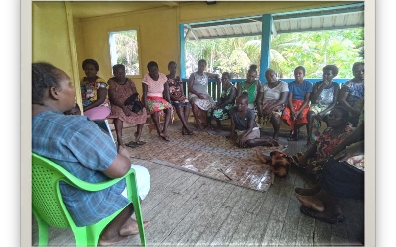 Immunisation outreach to remote Vella communities