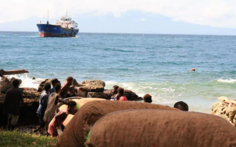 Poor shipping services affect copra, cocoa farmers in West