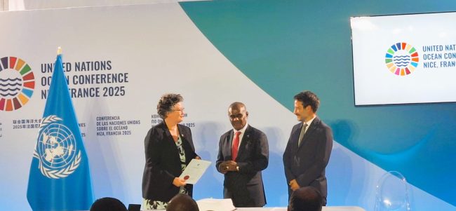 Ratification of instrument