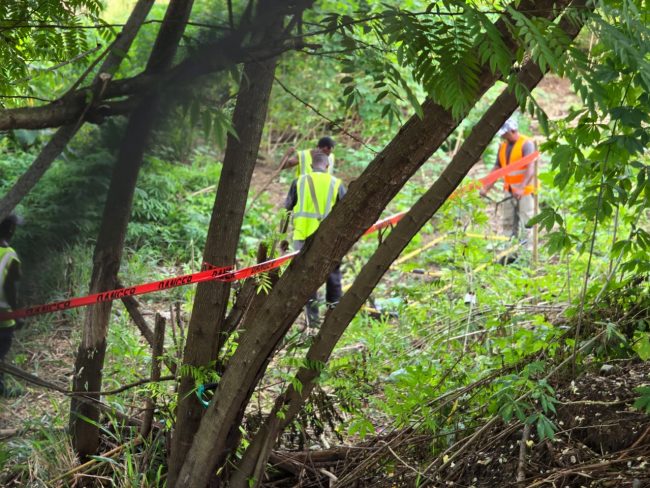 The team hired to scan for the UXO hard at work