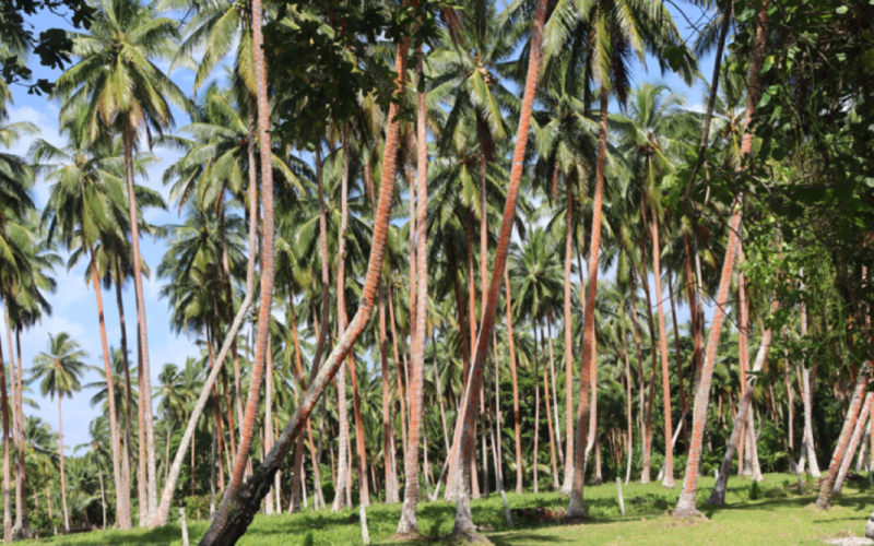 Revolving fund boosts farmers, improve production