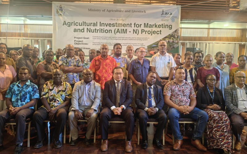 AIM-N project unveiled