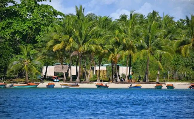 A coast community in Shortlands