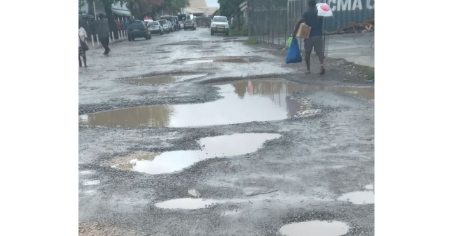 Section of Gizo road