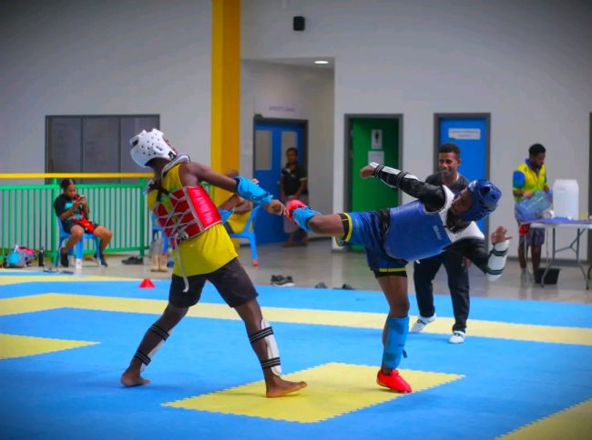Taekwondo action