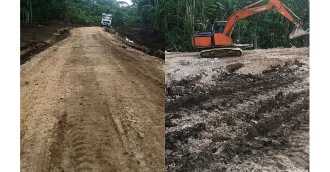 Taro town development