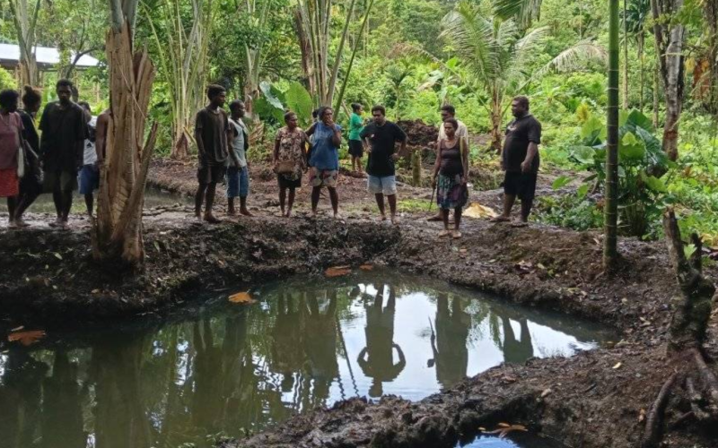 Tilapia training for farmers in South Malaita