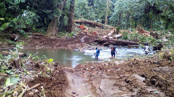 Local loggers share plight 